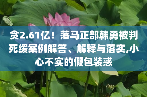 貪2.61億！落馬正部韓勇被判死緩案例解答、解釋與落實(shí),小心不實(shí)的假包裝惑