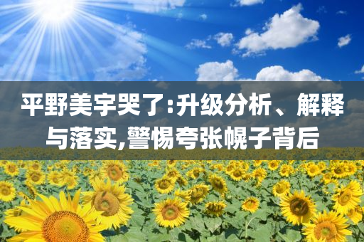 平野美宇哭了:升級(jí)分析、解釋與落實(shí),警惕夸張幌子背后