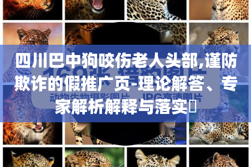 四川巴中狗咬傷老人頭部,謹(jǐn)防欺詐的假推廣頁-理論解答、專家解析解釋與落實?