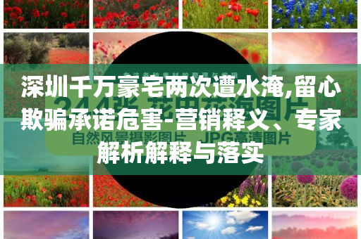 深圳千萬豪宅兩次遭水淹,留心欺騙承諾危害-營銷釋義、專家解析解釋與落實