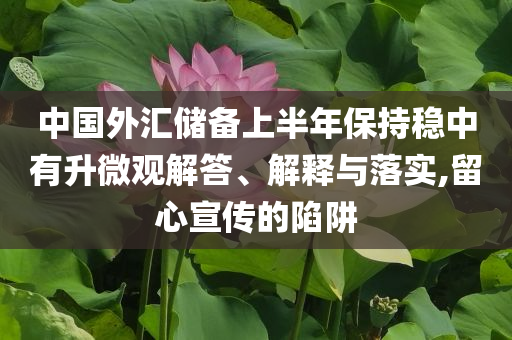 中國(guó)外匯儲(chǔ)備上半年保持穩(wěn)中有升微觀解答、解釋與落實(shí),留心宣傳的陷阱