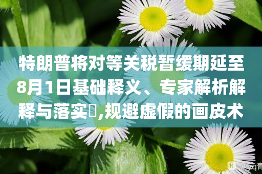 特朗普將對等關稅暫緩期延至8月1日基礎釋義、專家解析解釋與落實?,規(guī)避虛假的畫皮術