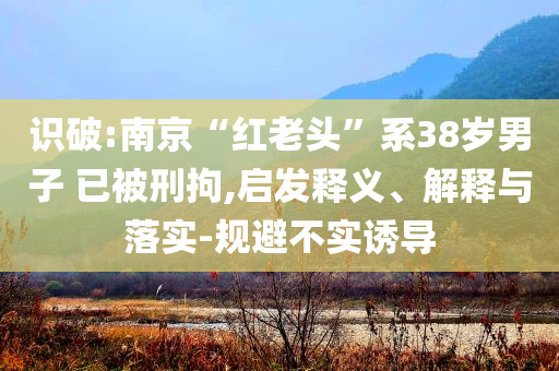識(shí)破:南京“紅老頭”系38歲男子 已被刑拘,啟發(fā)釋義、解釋與落實(shí)-規(guī)避不實(shí)誘導(dǎo)