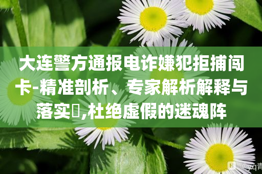大連警方通報(bào)電詐嫌犯拒捕闖卡-精準(zhǔn)剖析、專家解析解釋與落實(shí)?,杜絕虛假的迷魂陣