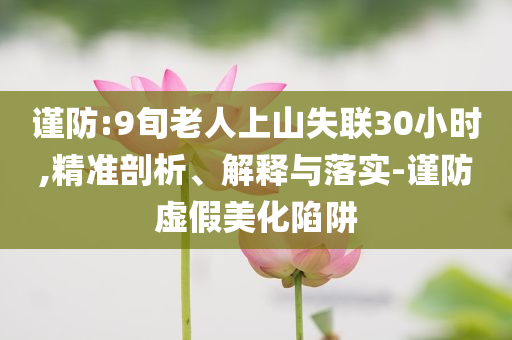 謹(jǐn)防:9旬老人上山失聯(lián)30小時,精準(zhǔn)剖析、解釋與落實-謹(jǐn)防虛假美化陷阱