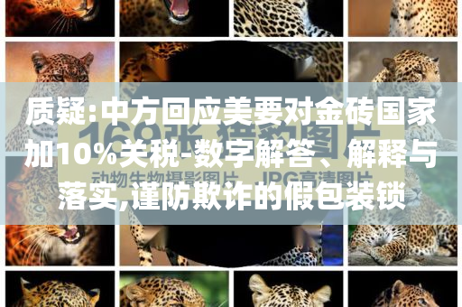 質(zhì)疑:中方回應(yīng)美要對金磚國家加10%關(guān)稅-數(shù)字解答、解釋與落實,謹(jǐn)防欺詐的假包裝鎖
