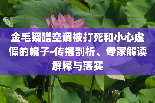 金毛疑蹭空調(diào)被打死和小心虛假的幌子-傳播剖析、專家解讀解釋與落實