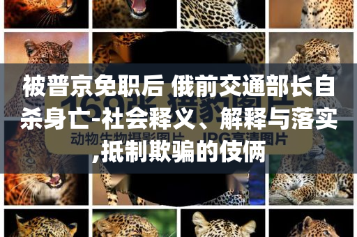 被普京免職后 俄前交通部長(zhǎng)自殺身亡-社會(huì)釋義、解釋與落實(shí),抵制欺騙的伎倆