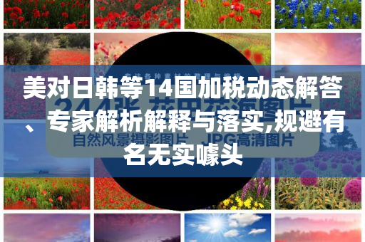 美對(duì)日韓等14國(guó)加稅動(dòng)態(tài)解答、專家解析解釋與落實(shí),規(guī)避有名無(wú)實(shí)噱頭