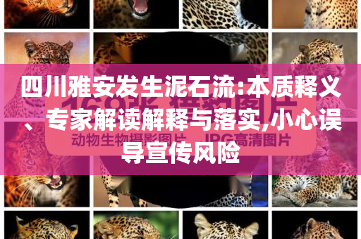 四川雅安發(fā)生泥石流:本質(zhì)釋義、專家解讀解釋與落實(shí),小心誤導(dǎo)宣傳風(fēng)險(xiǎn)
