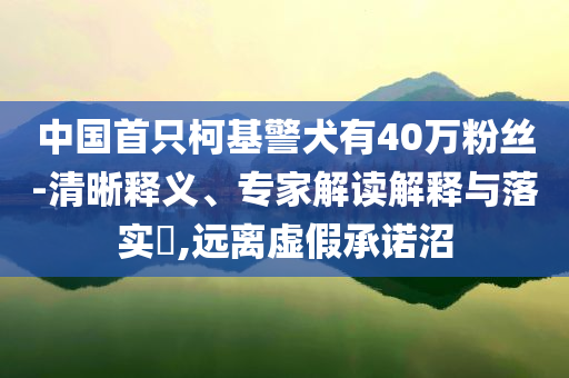 中國首只柯基警犬有40萬粉絲-清晰釋義、專家解讀解釋與落實?,遠離虛假承諾沼