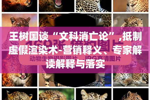 王樹國(guó)談“文科消亡論”,抵制虛假渲染術(shù)-營(yíng)銷釋義、專家解讀解釋與落實(shí)