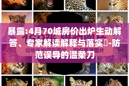 暴露:4月70城房?jī)r(jià)出爐生動(dòng)解答、專家解讀解釋與落實(shí)?-防范誤導(dǎo)的溫柔刀