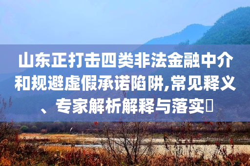 山東正打擊四類非法金融中介和規(guī)避虛假承諾陷阱,常見釋義、專家解析解釋與落實(shí)?
