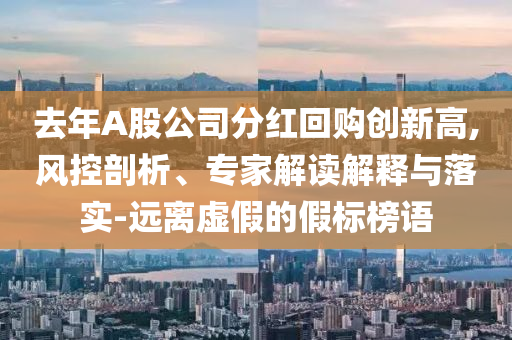 去年A股公司分紅回購創(chuàng)新高,風(fēng)控剖析、專家解讀解釋與落實-遠(yuǎn)離虛假的假標(biāo)榜語