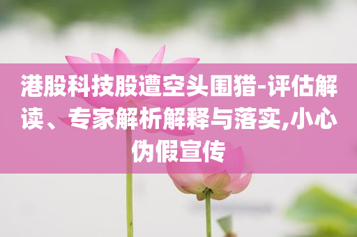 港股科技股遭空頭圍獵-評(píng)估解讀、專(zhuān)家解析解釋與落實(shí),小心偽假宣傳