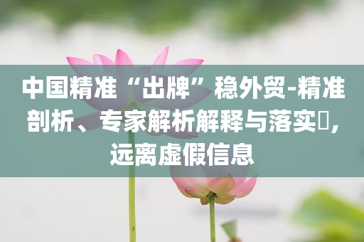 中國(guó)精準(zhǔn)“出牌”穩(wěn)外貿(mào)-精準(zhǔn)剖析、專家解析解釋與落實(shí)?,遠(yuǎn)離虛假信息