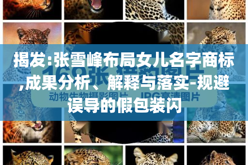 揭發(fā):張雪峰布局女兒名字商標(biāo),成果分析、解釋與落實-規(guī)避誤導(dǎo)的假包裝閃