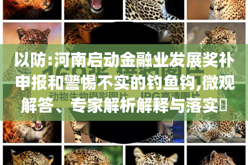 以防:河南啟動金融業(yè)發(fā)展獎補申報和警惕不實的釣魚鉤,微觀解答、專家解析解釋與落實?