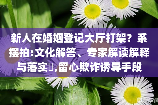 新人在婚姻登記大廳打架？系擺拍:文化解答、專家解讀解釋與落實(shí)?,留心欺詐誘導(dǎo)手段