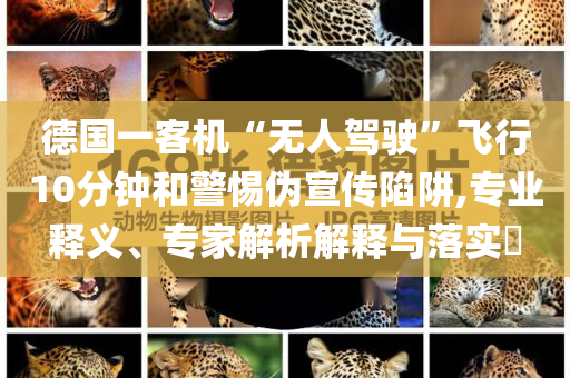 德國一客機(jī)“無人駕駛”飛行10分鐘和警惕偽宣傳陷阱,專業(yè)釋義、專家解析解釋與落實(shí)?