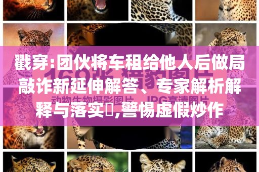 戳穿:團(tuán)伙將車租給他人后做局敲詐新延伸解答、專家解析解釋與落實(shí)?,警惕虛假炒作