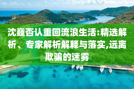 沈巍否認(rèn)重回流浪生活:精選解析、專家解析解釋與落實(shí),遠(yuǎn)離欺騙的迷霧