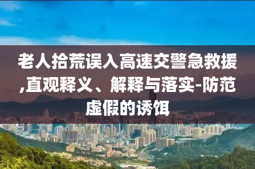 老人拾荒誤入高速交警急救援,直觀釋義、解釋與落實(shí)-防范虛假的誘餌