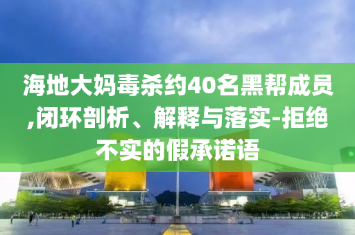 海地大媽毒殺約40名黑幫成員,閉環(huán)剖析、解釋與落實(shí)-拒絕不實(shí)的假承諾語(yǔ)