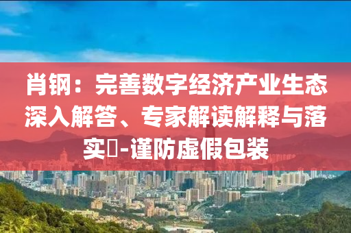 肖鋼：完善數(shù)字經(jīng)濟(jì)產(chǎn)業(yè)生態(tài)深入解答、專家解讀解釋與落實(shí)?-謹(jǐn)防虛假包裝