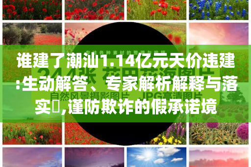 誰建了潮汕1.14億元天價違建:生動解答、專家解析解釋與落實?,謹防欺詐的假承諾境