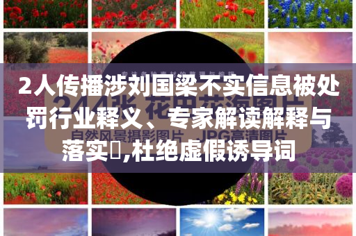 2人傳播涉劉國梁不實信息被處罰行業(yè)釋義、專家解讀解釋與落實?,杜絕虛假誘導(dǎo)詞