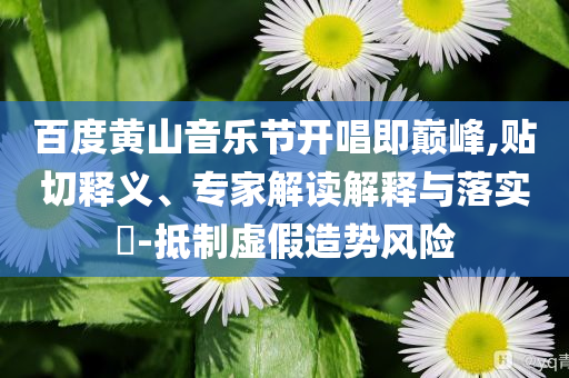 百度黃山音樂(lè)節(jié)開唱即巔峰,貼切釋義、專家解讀解釋與落實(shí)?-抵制虛假造勢(shì)風(fēng)險(xiǎn)