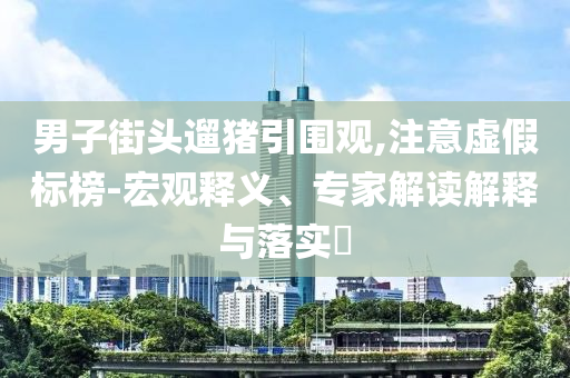 男子街頭遛豬引圍觀,注意虛假標榜-宏觀釋義、專家解讀解釋與落實?