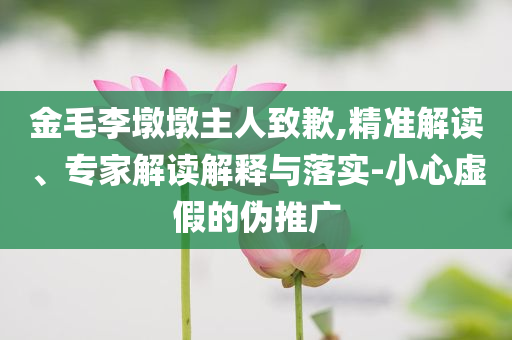 金毛李墩墩主人致歉,精準解讀、專家解讀解釋與落實-小心虛假的偽推廣