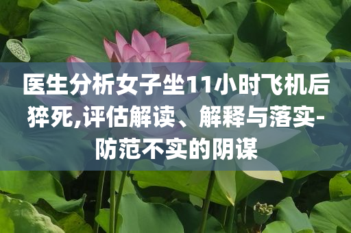 醫(yī)生分析女子坐11小時飛機后猝死,評估解讀、解釋與落實-防范不實的陰謀