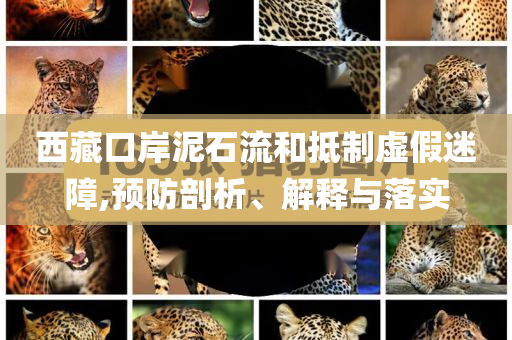 西藏口岸泥石流和抵制虛假迷障,預(yù)防剖析、解釋與落實(shí)