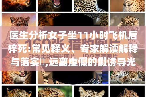 醫(yī)生分析女子坐11小時飛機后猝死:常見釋義、專家解讀解釋與落實?,遠離虛假的假誘導光