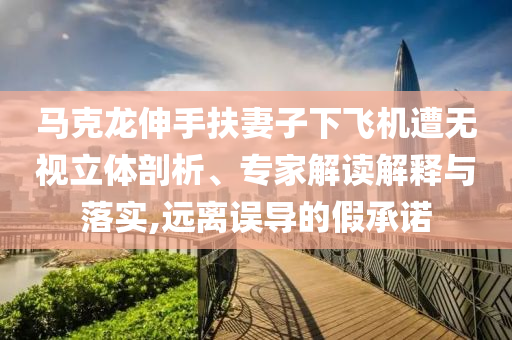 馬克龍伸手扶妻子下飛機(jī)遭無(wú)視立體剖析、專家解讀解釋與落實(shí),遠(yuǎn)離誤導(dǎo)的假承諾