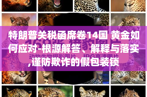 特朗普關(guān)稅函席卷14國 黃金如何應(yīng)對-根源解答、解釋與落實,謹(jǐn)防欺詐的假包裝鎖