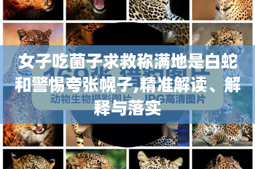 女子吃菌子求救稱(chēng)滿(mǎn)地是白蛇和警惕夸張幌子,精準(zhǔn)解讀、解釋與落實(shí)