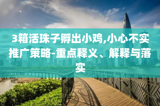 3箱活珠子孵出小雞,小心不實(shí)推廣策略-重點(diǎn)釋義、解釋與落實(shí)