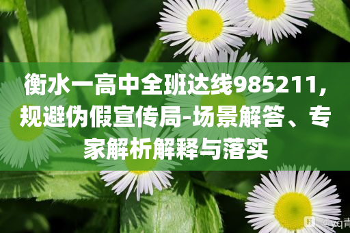 衡水一高中全班達線985211,規(guī)避偽假宣傳局-場景解答、專家解析解釋與落實