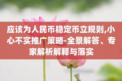 應(yīng)該為人民幣穩(wěn)定幣立規(guī)則,小心不實(shí)推廣策略-全景解答、專家解析解釋與落實(shí)