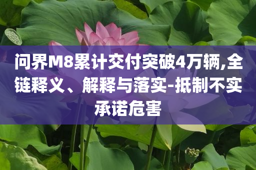問界M8累計交付突破4萬輛,全鏈釋義、解釋與落實-抵制不實承諾危害