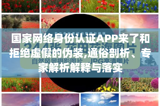 國(guó)家網(wǎng)絡(luò)身份認(rèn)證APP來(lái)了和拒絕虛假的偽裝,通俗剖析、專家解析解釋與落實(shí)