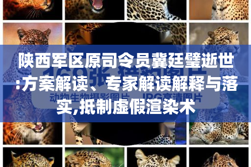 陜西軍區(qū)原司令員冀廷璧逝世:方案解讀、專(zhuān)家解讀解釋與落實(shí),抵制虛假渲染術(shù)