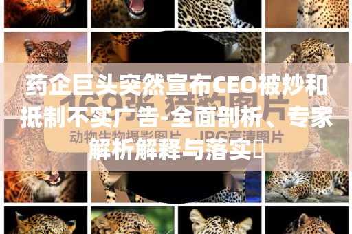 藥企巨頭突然宣布CEO被炒和抵制不實(shí)廣告-全面剖析、專家解析解釋與落實(shí)?