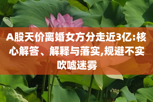 A股天價(jià)離婚女方分走近3億:核心解答、解釋與落實(shí),規(guī)避不實(shí)吹噓迷霧