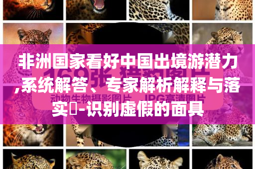 非洲國家看好中國出境游潛力,系統(tǒng)解答、專家解析解釋與落實?-識別虛假的面具
